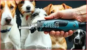 various speeds