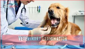 veterinary examination