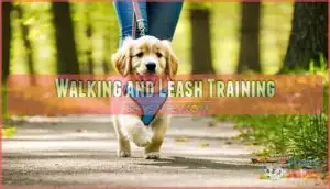 walking and leash training