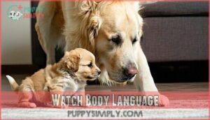 watch body language
