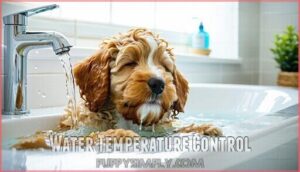 water temperature control