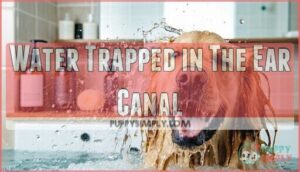 water trapped in the ear canal
