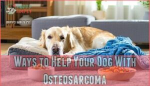 ways to help your dog with osteosarcoma