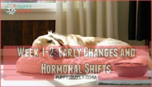 week 1-2: early changes and hormonal shifts