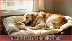 week 3: early symptoms start