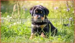 what about bobtail rottweilers
