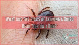 what are the risks of leaving a dried dead tick on a dog