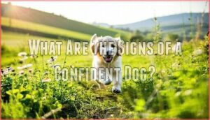what are the signs of a confident dog