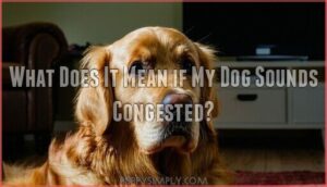 what does it mean if my dog sounds congested