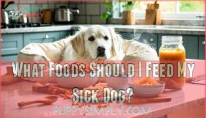 what foods should i feed my sick dog