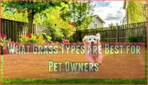 what grass types are best for pet owners