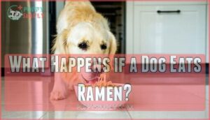 what happens if a dog eats ramen