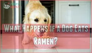 what happens if a dog eats ramen
