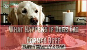 what happens if dogs eat corned beef