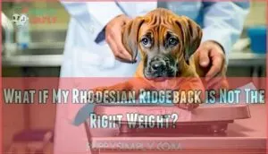 what if my rhodesian ridgeback is not the right weight