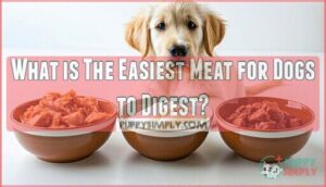 what is the easiest meat for dogs to digest