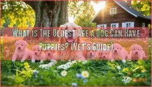 what is the oldest age a dog can have puppies