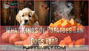 what kinds of potatoes can dogs eat