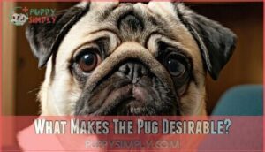 what makes the pug desirable