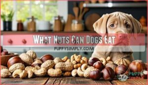 what nuts can dogs eat