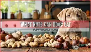 what nuts can dogs eat
