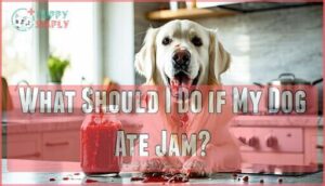 what should i do if my dog ate jam