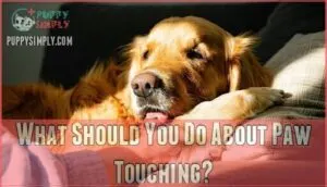 what should you do about paw touching