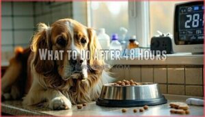 what to do after 48 hours