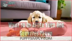 what to do after your dog survives parvo what to do after your dog survives parvo
