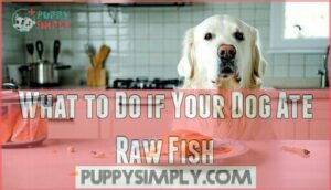 what to do if your dog ate raw fish