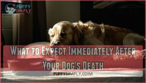 what to expect immediately after your dog's death