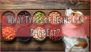 what types of beans can dogs eat