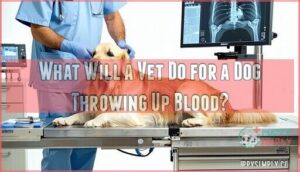 what will a vet do for a dog throwing up blood