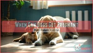 when can dogs get pregnant
