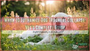 when euthanize dog tracheal collapse
