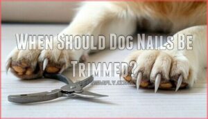when should dog nails be trimmed