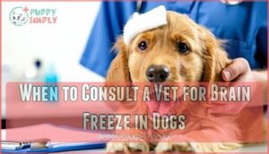 when to consult a vet for brain freeze in dogs