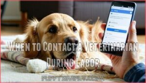 when to contact a veterinarian during labor