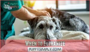 when to euthanize