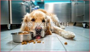 when to seek vet care