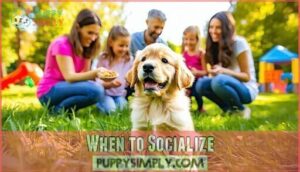 when to socialize