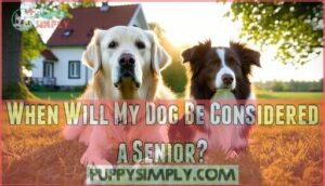 when will my dog be considered a senior