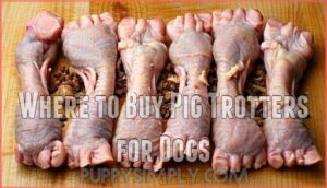 where to buy pig trotters for dogs