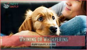 whining or whimpering