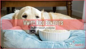 white rice benefits