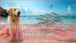why are anchovies better for dogs than other fish