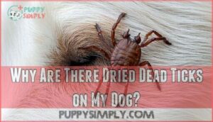 why are there dried dead ticks on my dog