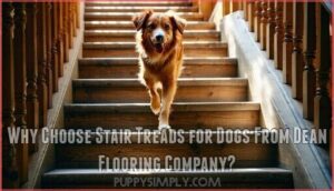 why choose stair treads for dogs from dean flooring company