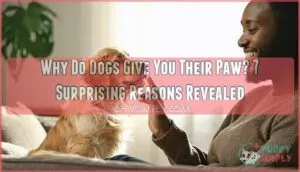why do dogs give you their paw