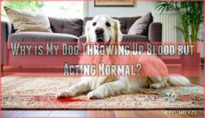 why is my dog throwing up blood but acting normal